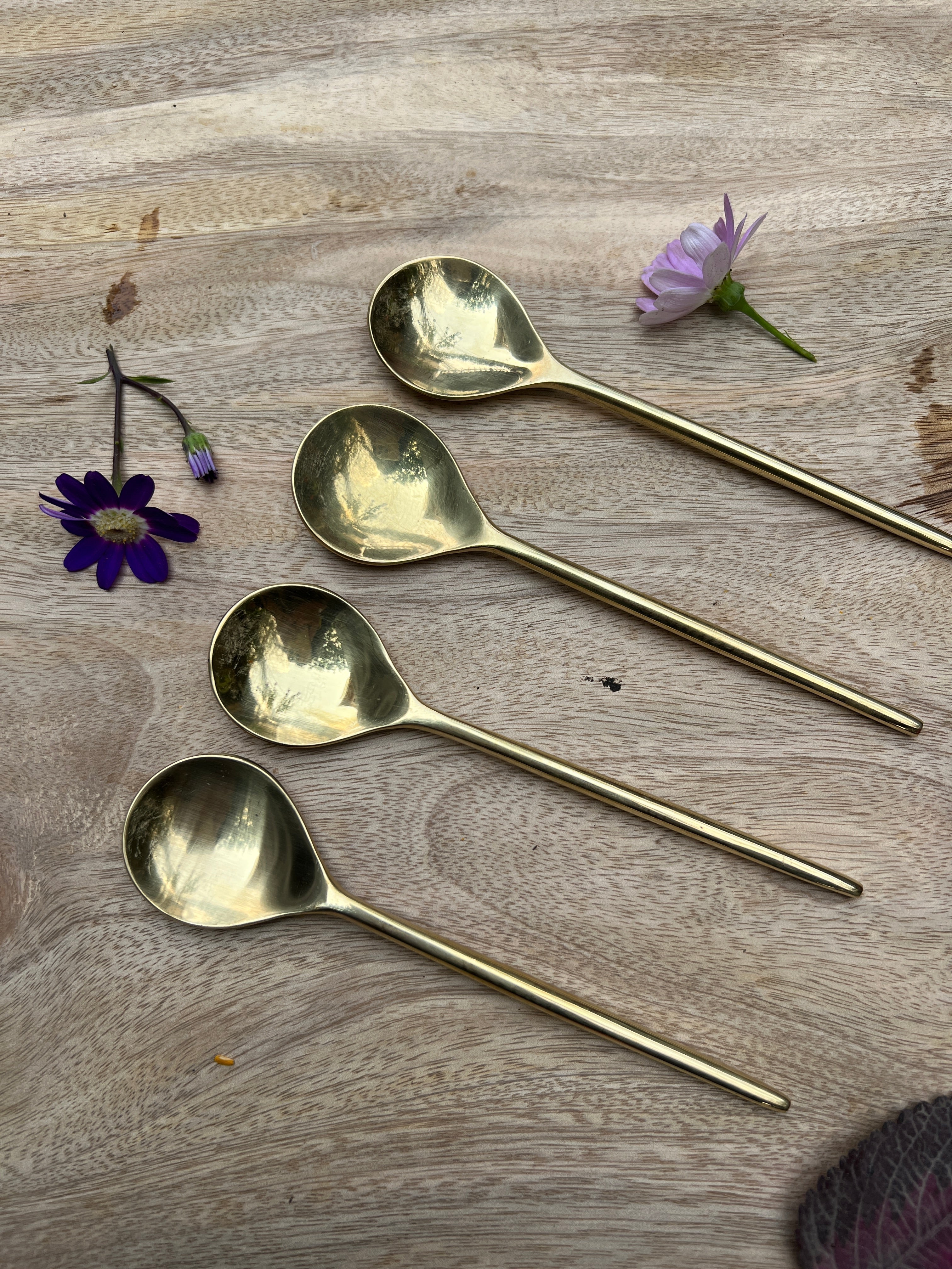 Brass Dessert Spoon Set
